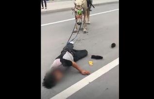 网红警察视频吃瓜,揭秘网络热点背后的真相