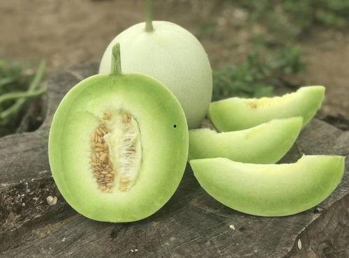 玉菇甜瓜吃瓜神器视频,轻松解锁美味新体验