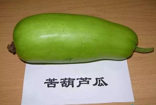 四岁吃葫芦瓜好不好呢视频,四岁宝宝吃葫芦瓜的益处与注意事项