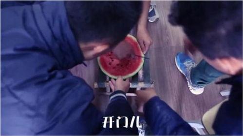 搞笑吃瓜 段子视频,搞笑吃瓜段子视频集锦