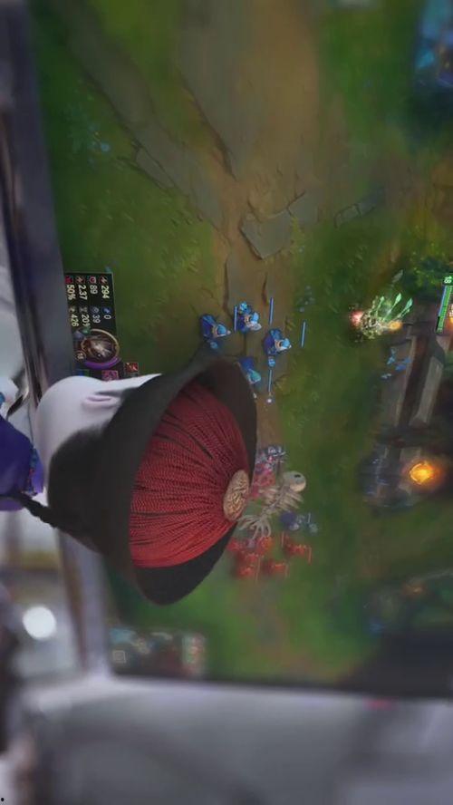 小鱼不吃鱼吃瓜视频,小鱼弃鱼食瓜的趣味日常